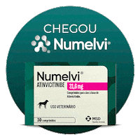 Numelvi Sticker by MSD Família Pet