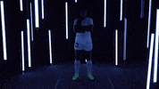 North Carolina GIF by UNC Tar Heels