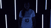North Carolina GIF by UNC Tar Heels