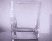 Drink Cheers GIF