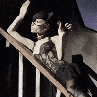 Ariana Grande Cat GIF