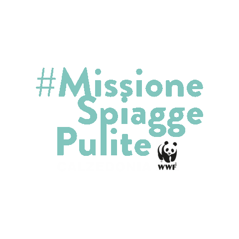 Sticker by Calzedonia