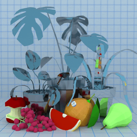 still life mirror GIF by jjjjjohn