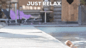 GIF by VeluwseBron
