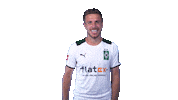 Celebrate Patrick Herrmann Sticker by Borussia Mönchengladbach