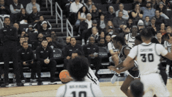 Assist College Basketball GIF by Providence Friars