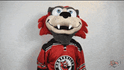 Happy Hockey GIF by Huntsville Havoc