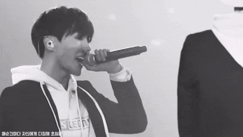 Born Singer Bts Begins GIF