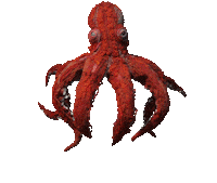 Stop Motion Animation Sticker by Mighty Oak