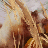 cbs all access art GIF by CBS