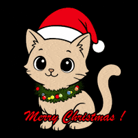 Merry Christmas Cat GIF