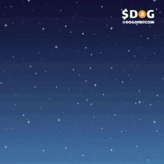 Dogofbitcoin giphyupload dog runestone dog bitcoin GIF