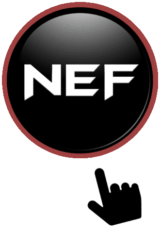 Mixed Martial Arts Mma Sticker by NEFights