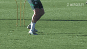 Mallorca Trainingslager GIF by SV Werder Bremen
