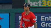 Celebrate Home Run GIF by MLB