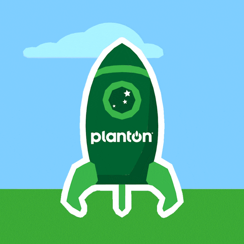 Vegan Fly GIF by planton