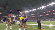 National Football League GIF by NFL