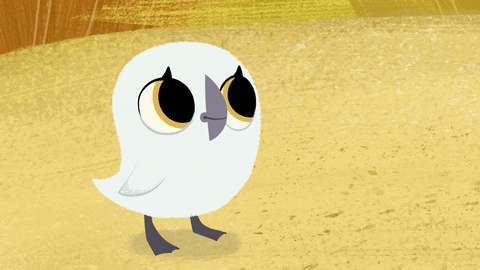 #puffin #rock #puffinrock #baba #curious #puffling #wha? GIF by Puffin Rock