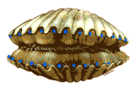 Hungry West Coast Sticker by Put Me Outside