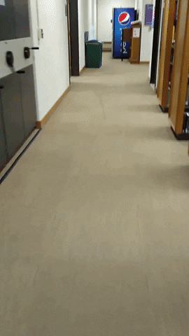 Library Mccabe GIF by Swarthmore College Libraries