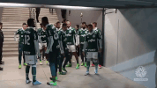 GIF by SE Palmeiras