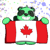 Greeting Canadian Sticker by SuperVerse