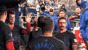 Blue Jays Baseball GIF by Toronto Blue Jays