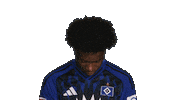 Look Up Hamburger Sv Sticker by Bundesliga