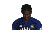 Look Up Hamburger Sv Sticker by Bundesliga