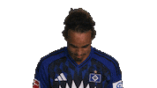 Look Up Hamburger Sv Sticker by Bundesliga