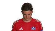 Look Up Hamburger Sv Sticker by Bundesliga