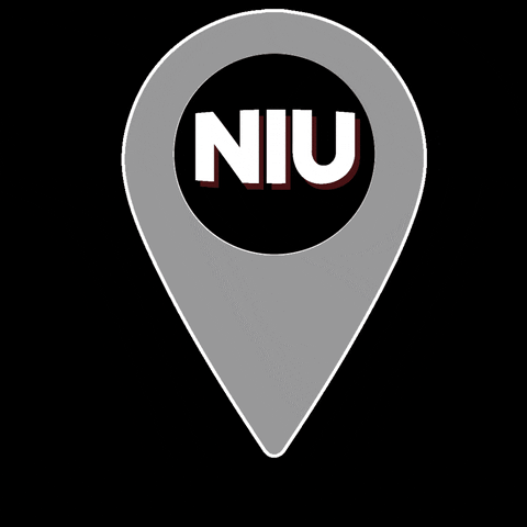 GIF by Northern Illinois University