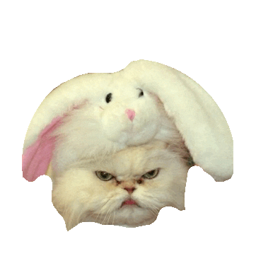 grumpy STICKER by imoji