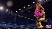 GIF by Lucha Libre AAA