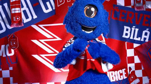 Hockeytown GIF by HC Dynamo Pardubice