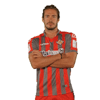 Serie B Football Sticker by Pro Cremona