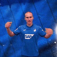 Sport Bundesliga GIF by TSG Hoffenheim