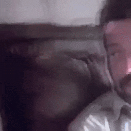 alohajeanlund tim curry congo GIF
