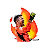 Winner Champion Sticker by Reusch