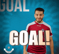 Voetbalvereniging_Scherpenzeel voetbal bal blauwwit hoofdklasse GIF