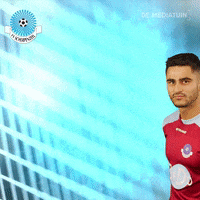 Voetbalvereniging_Scherpenzeel goal voetbal blauwwit hoofdklasse GIF