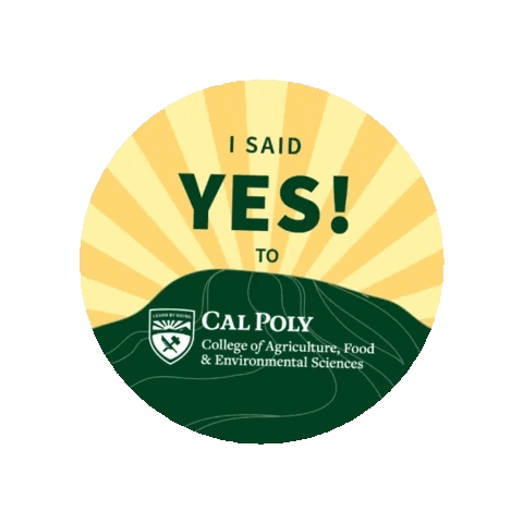 Cafes Learnbydoing Sticker by calpolyrodeo