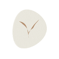 Made In Europe World Sticker by Urban Therapy