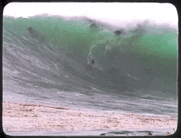 Big Wave Surfing Surf GIF by MOODMAN