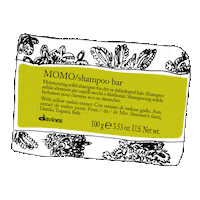 DavinesHongKong momo davinesshampoobar davinesehc Sticker