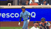 Blue Jays Baseball GIF by Toronto Blue Jays