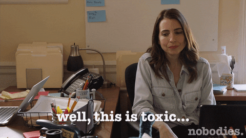 this is toxic tv land GIF by nobodies.