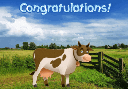 Cows Expressions GIF