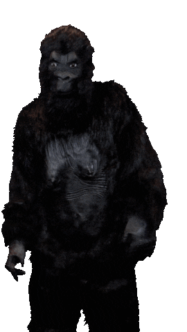Frank Sticker by Online Monkeys