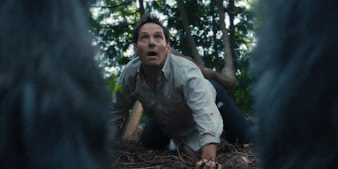 Paul Rudd Unicorns GIF by A24